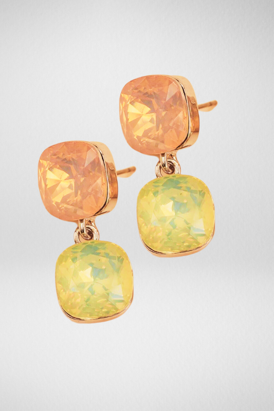 Stone Drop Earrings